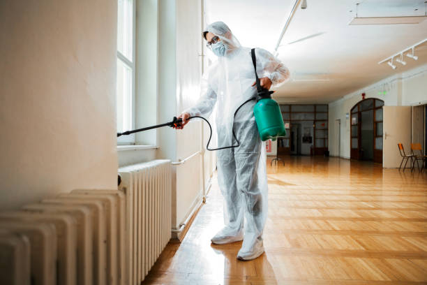 Best Flea Control Services  in Bloomfield, MO